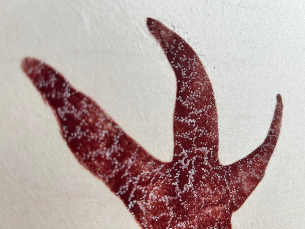 Jump: Sea Star: Original Contemporary Fine Art Gyotaku Print