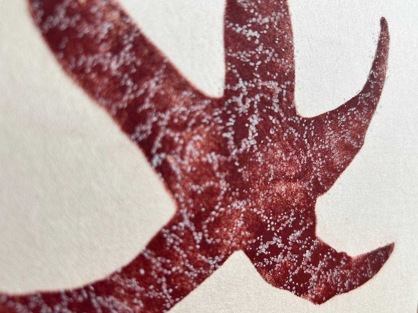 Jump: Sea Star: Original Contemporary Fine Art Gyotaku Print