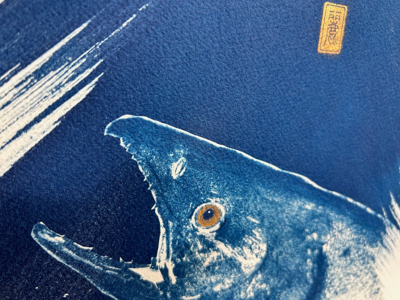 Swimming Upstream - Upswing: Original Cyanotype Print