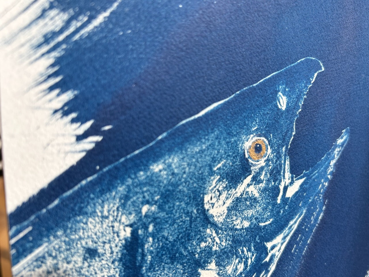Swimming Upstream - Upswing: Original Cyanotype Print