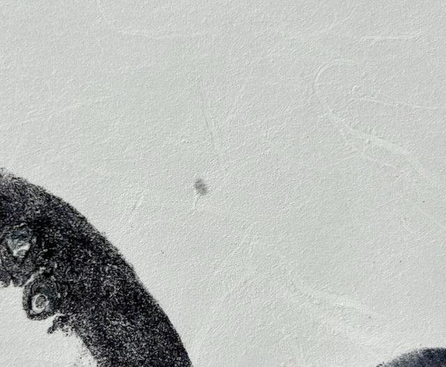 Octopus Conductor: Contemporary Fine Art Gyotaku Print -- Reproduction