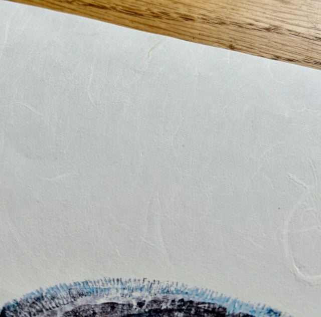 Longnose Skate: Contemporary Fine Art Gyotaku Print -- Reproduction