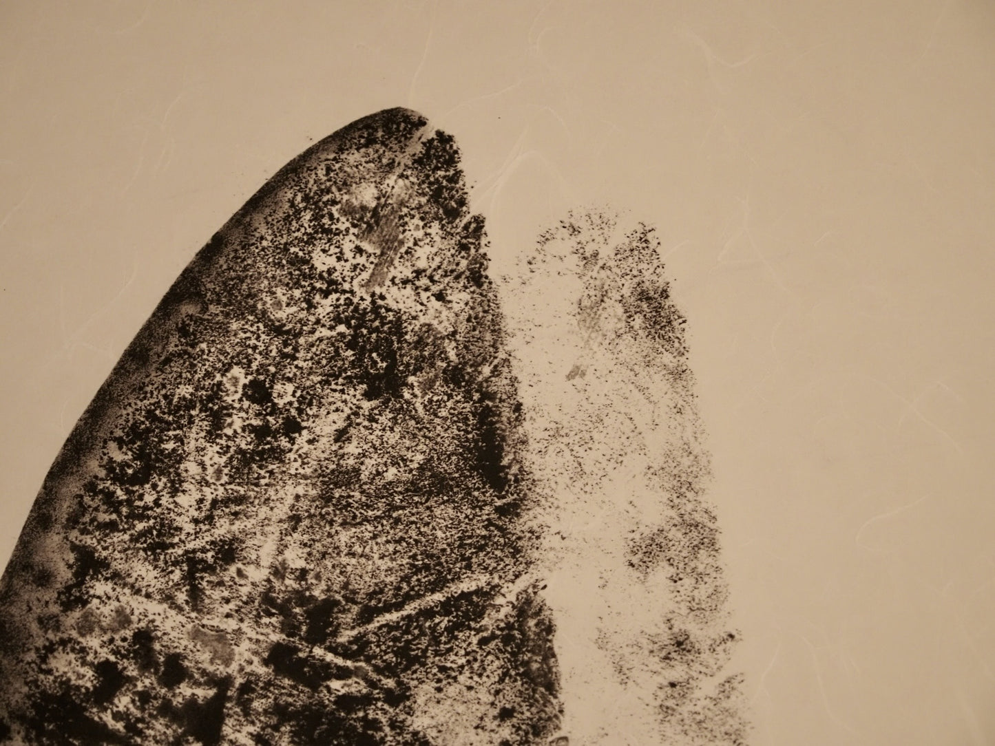 Sea Meets Landscape: Contemporary Fine Art Gyotaku Print of Thresher Shark