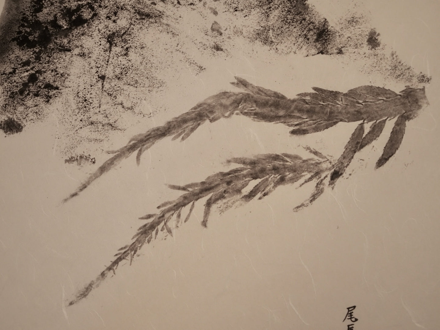 Sea Meets Landscape: Contemporary Fine Art Gyotaku Print of Thresher Shark