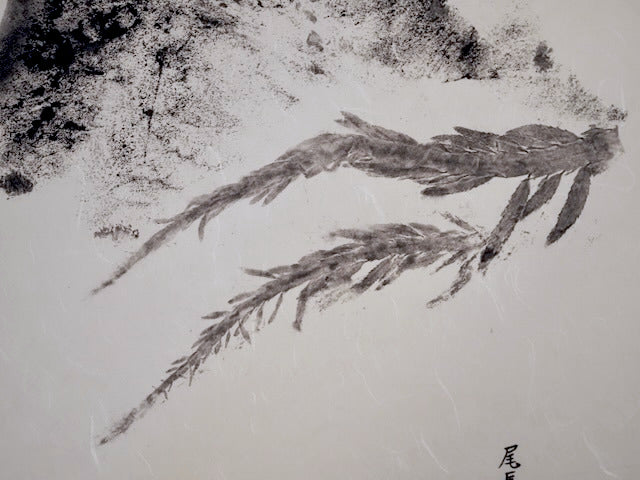 Dorsal Seascape: Contemporary Fine Art Gyotaku -- Reproduction Print