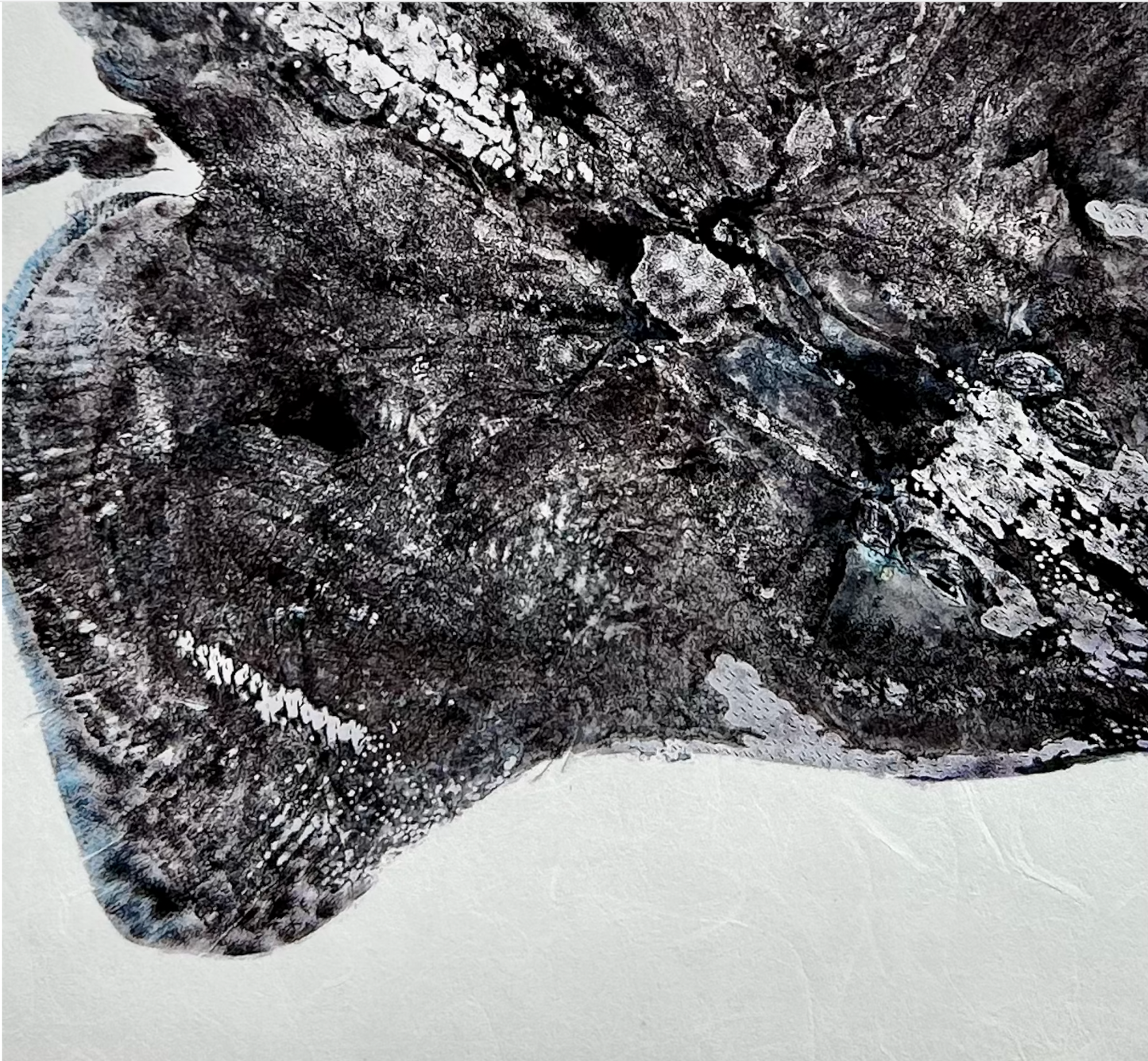 Longnose Skate: Contemporary Fine Art Gyotaku Print -- Reproduction