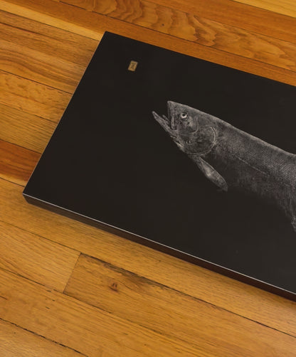 Chasing Beauty: Contemporary Fine Art Gyotaku Print