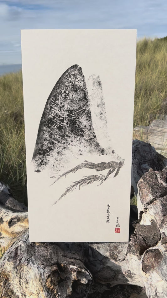 Dorsal Seascape: Original Contemporary Fine Art Gyotaku Print of Thresher Shark